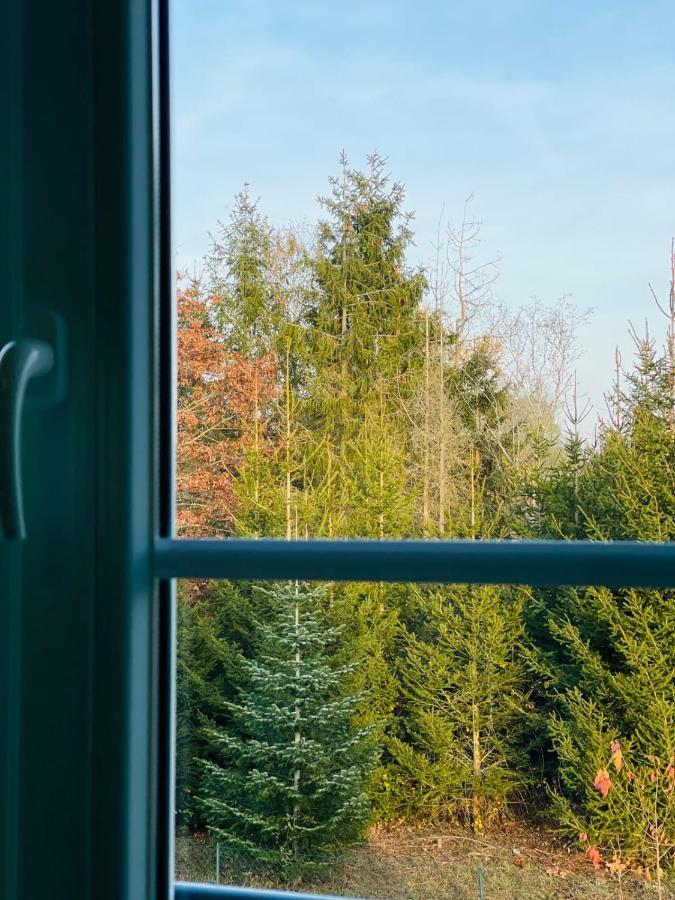 Apartment "Le Briand" Charming Base For Your Sightseeing In Touraine Noizay المظهر الخارجي الصورة